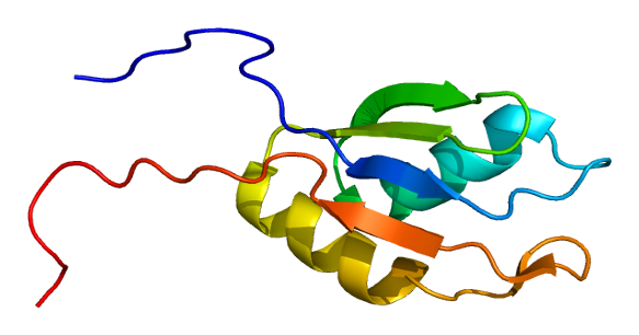 RBM14