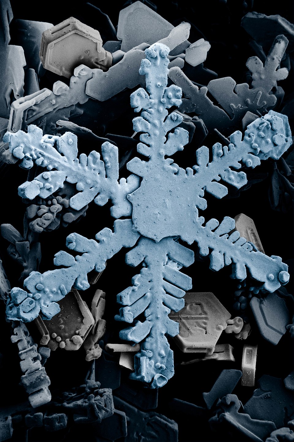 Cristales de nieve como metáfora de estructuras celulares complejas